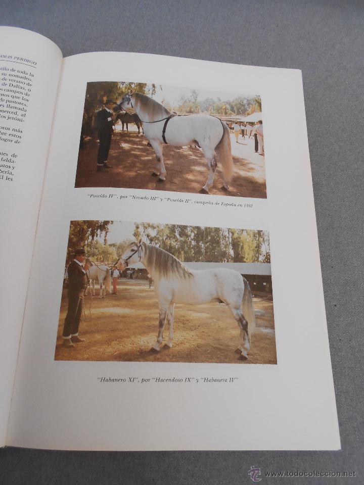 Libros de segunda mano: CABALLO ESPA&Ntilde;OL, CABALLO DE REYES. - Foto 10