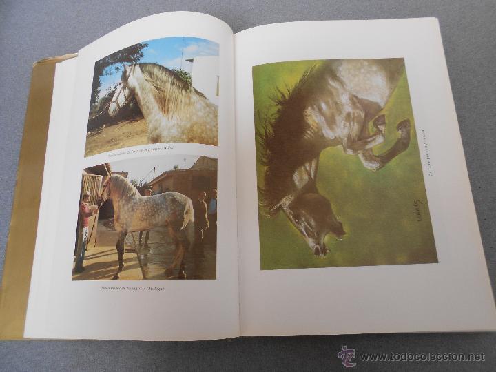 Libros de segunda mano: CABALLO ESPA&Ntilde;OL, CABALLO DE REYES. - Foto 11