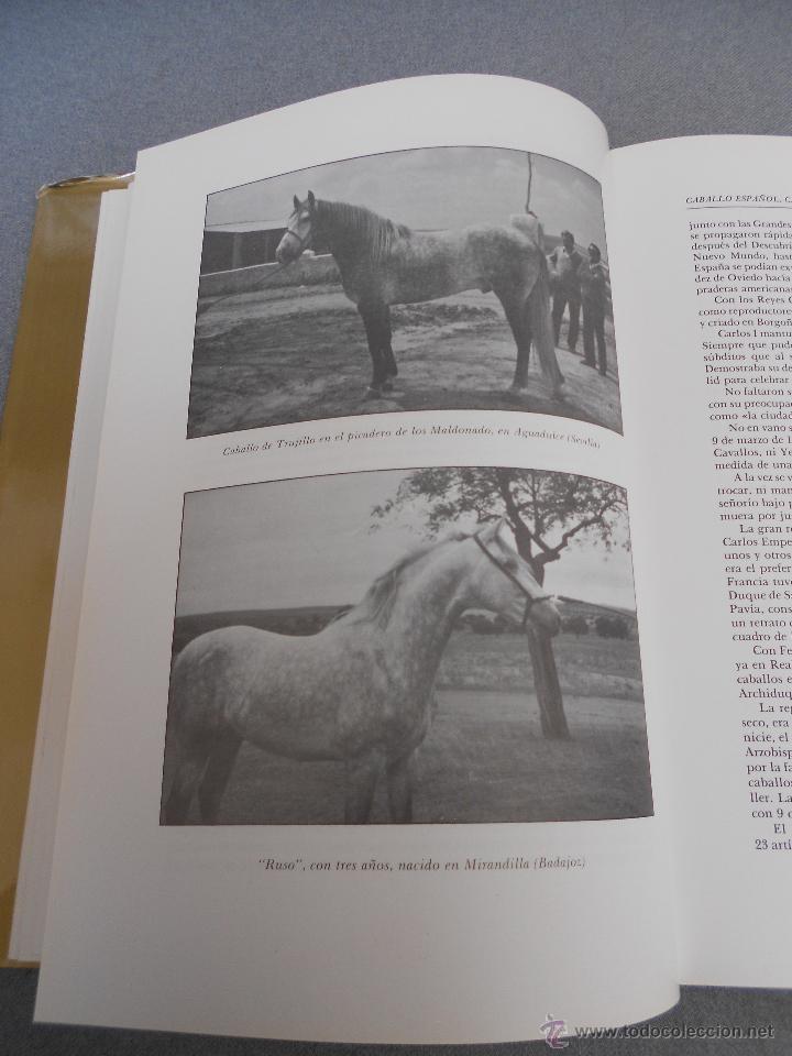 Libros de segunda mano: CABALLO ESPA&Ntilde;OL, CABALLO DE REYES. - Foto 12