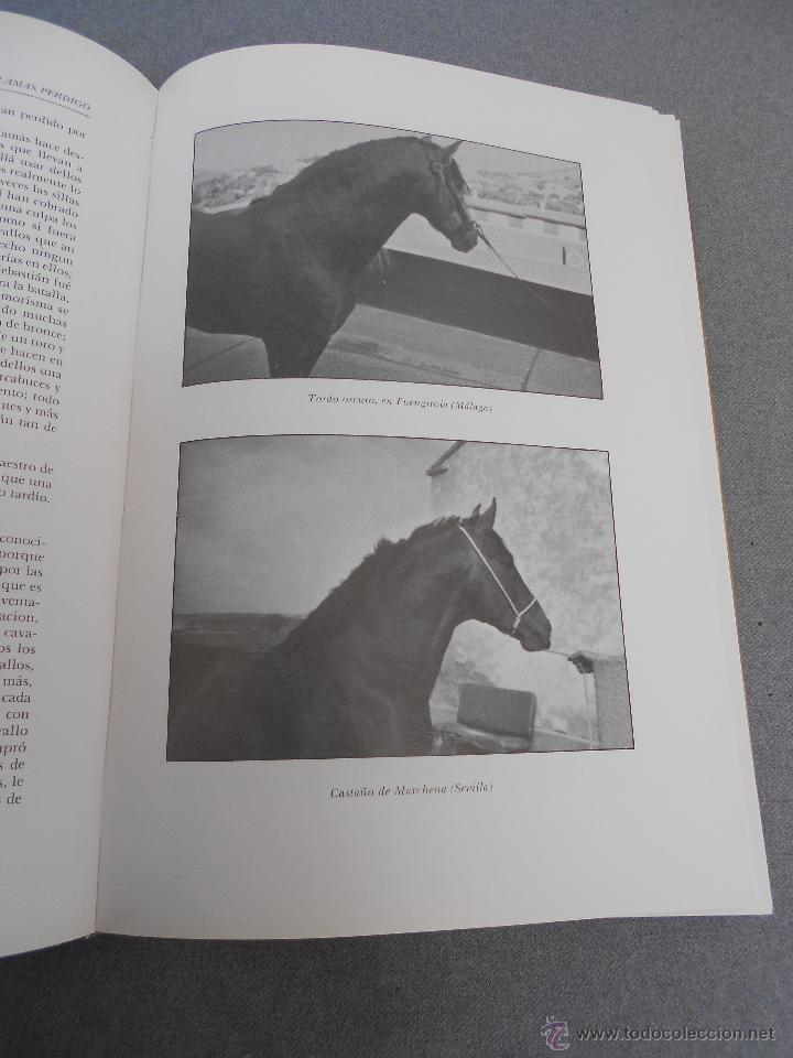 Libros de segunda mano: CABALLO ESPA&Ntilde;OL, CABALLO DE REYES. - Foto 13