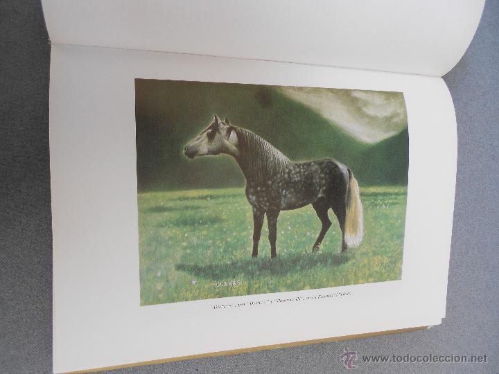 Libros de segunda mano: CABALLO ESPA&Ntilde;OL, CABALLO DE REYES. - Foto 15