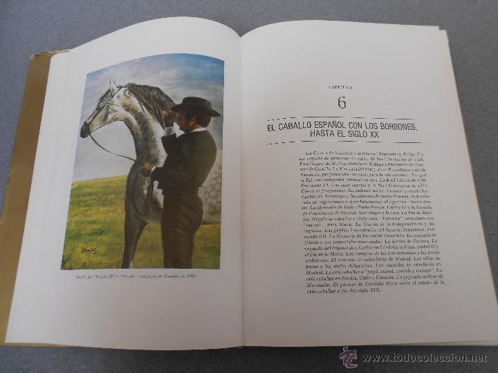 Libros de segunda mano: CABALLO ESPA&Ntilde;OL, CABALLO DE REYES. - Foto 16