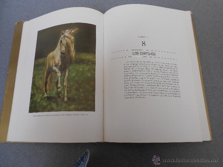 Libros de segunda mano: CABALLO ESPA&Ntilde;OL, CABALLO DE REYES. - Foto 17