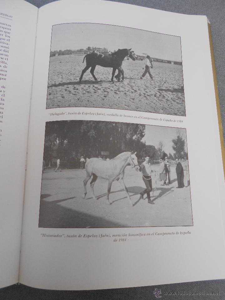 Libros de segunda mano: CABALLO ESPA&Ntilde;OL, CABALLO DE REYES. - Foto 19