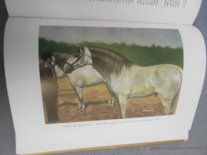Libros de segunda mano: CABALLO ESPA&Ntilde;OL, CABALLO DE REYES. - Foto 20