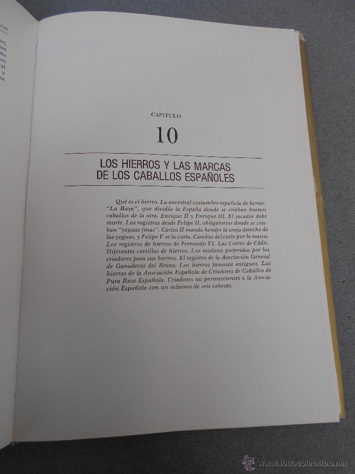 Libros de segunda mano: CABALLO ESPA&Ntilde;OL, CABALLO DE REYES. - Foto 21