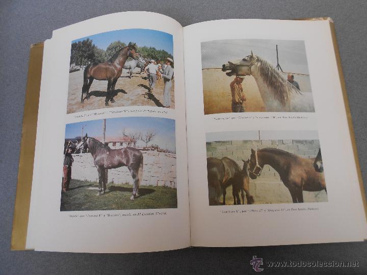 Libros de segunda mano: CABALLO ESPA&Ntilde;OL, CABALLO DE REYES. - Foto 26