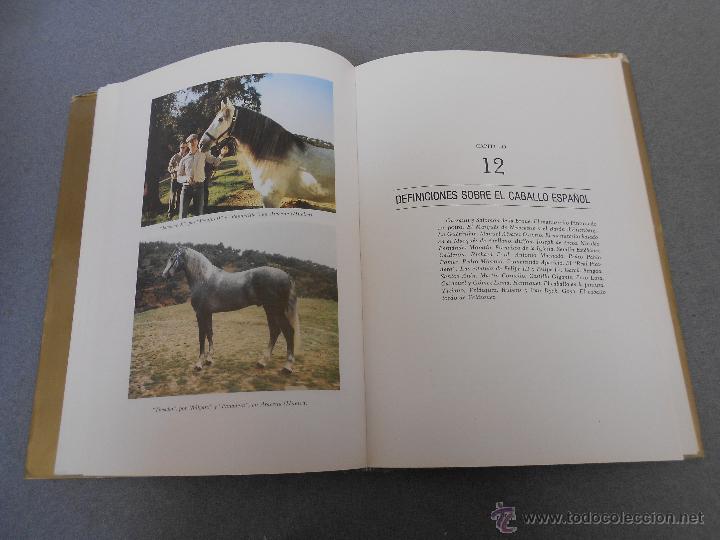 Libros de segunda mano: CABALLO ESPA&Ntilde;OL, CABALLO DE REYES. - Foto 27