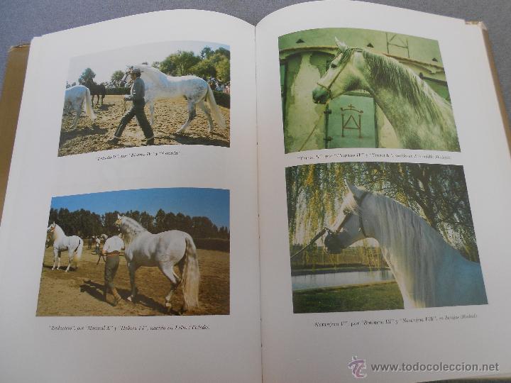 Libros de segunda mano: CABALLO ESPA&Ntilde;OL, CABALLO DE REYES. - Foto 28
