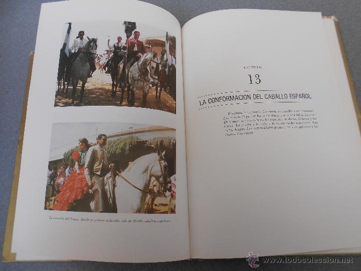 Libros de segunda mano: CABALLO ESPA&Ntilde;OL, CABALLO DE REYES. - Foto 29
