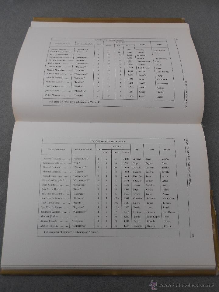 Libros de segunda mano: CABALLO ESPA&Ntilde;OL, CABALLO DE REYES. - Foto 30