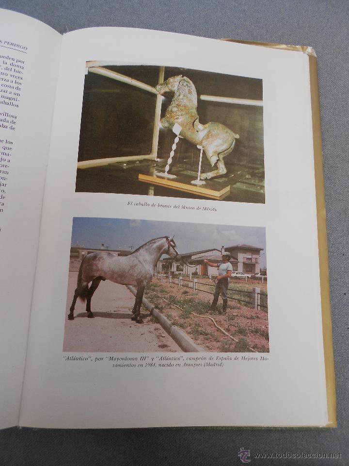 Libros de segunda mano: CABALLO ESPA&Ntilde;OL, CABALLO DE REYES. - Foto 31