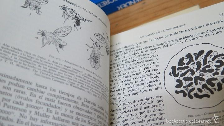 Libros de segunda mano: SOCIOLOGIA. VV.AA - Foto 5