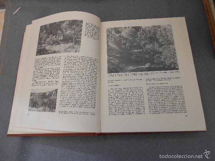 Libros de segunda mano: GEOGRAFIA DE LA PROVINCIA DE ALICANTE - Foto 7