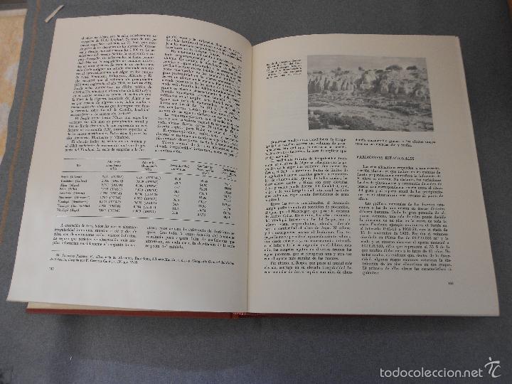 Libros de segunda mano: GEOGRAFIA DE LA PROVINCIA DE ALICANTE - Foto 8