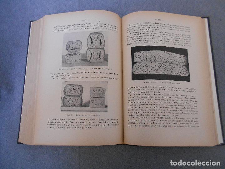 Libros de segunda mano: INDUSTRIAS LACTEAS - Foto 15