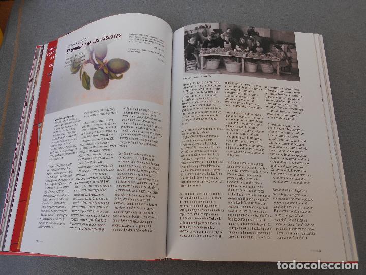 Libros de segunda mano: BETANIA 2006. GENT DE NOVELDA - Foto 10