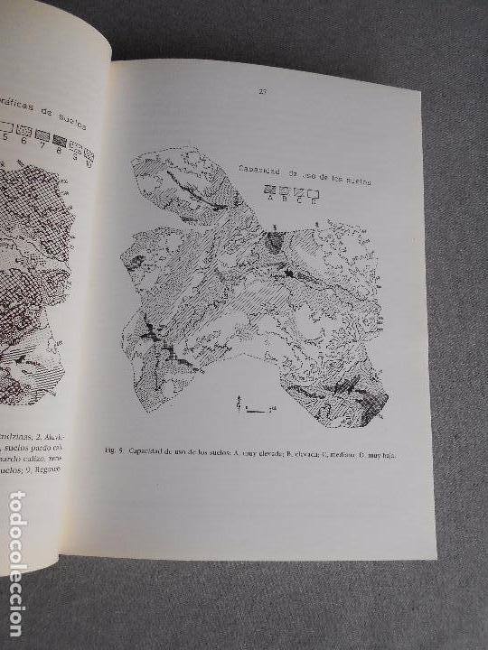 Libros de segunda mano: EL CORREDOR DE ALMANSA - Foto 7