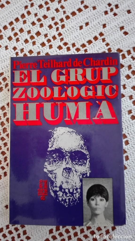 Libros de segunda mano: El grup zool&ograve;gic hum&agrave; Pierre Teilhard de Chardin 1968 - Foto 1