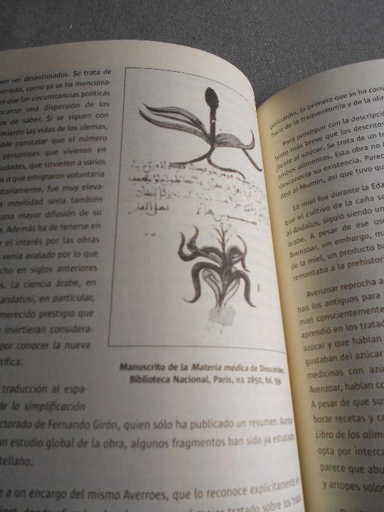 Libros de segunda mano: MEDICOS DE AL-ANDALUS - Foto 4
