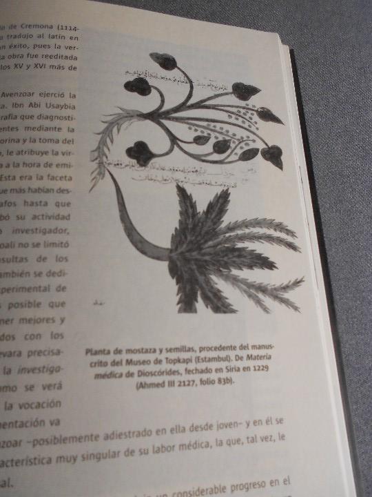 Libros de segunda mano: MEDICOS DE AL-ANDALUS - Foto 6