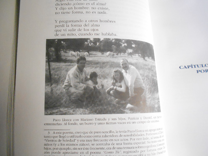 Libros de segunda mano: PACO LLORCA, SEMBLANZA DEL ARTE. - Foto 7