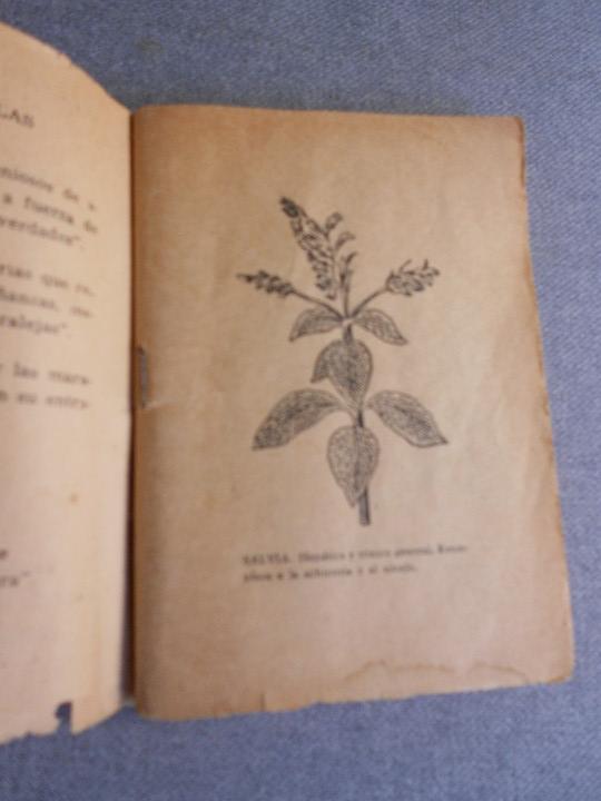 Libros de segunda mano: LA LEYENDA DE LAS YERBAS - Foto 4