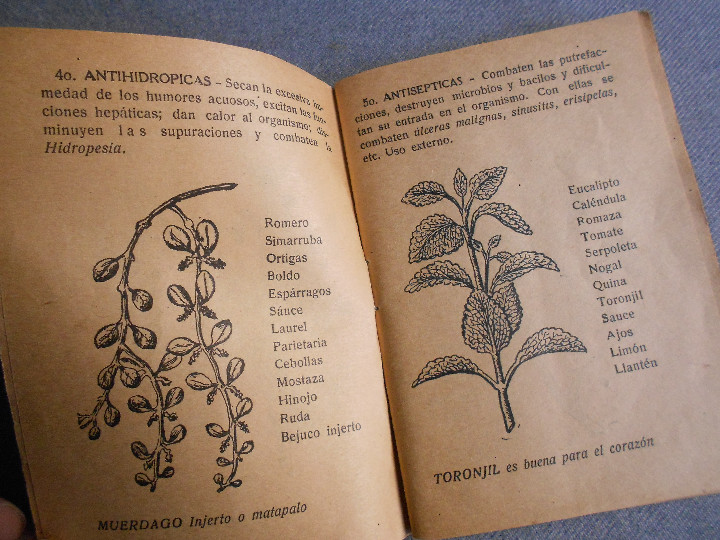 Libros de segunda mano: LA LEYENDA DE LAS YERBAS - Foto 5