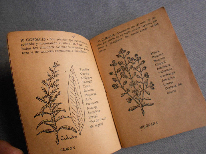 Libros de segunda mano: LA LEYENDA DE LAS YERBAS - Foto 6