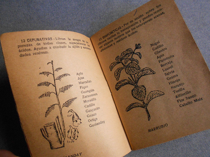 Libros de segunda mano: LA LEYENDA DE LAS YERBAS - Foto 7