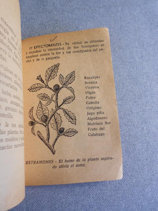 Libros de segunda mano: LA LEYENDA DE LAS YERBAS - Foto 9
