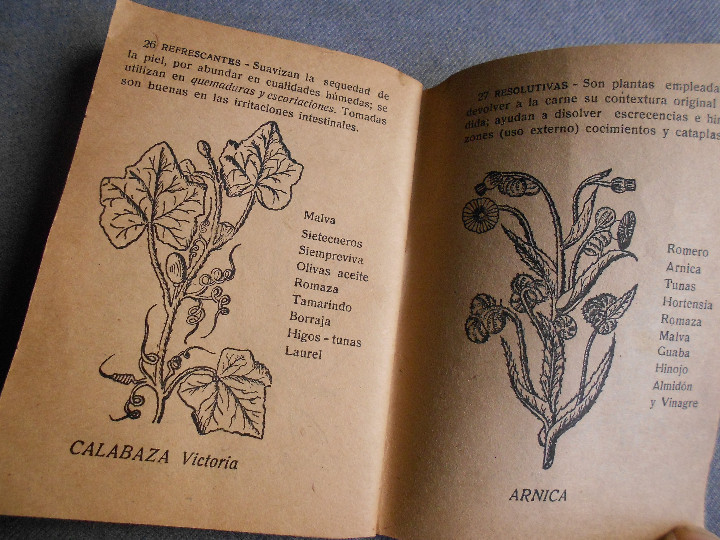 Libros de segunda mano: LA LEYENDA DE LAS YERBAS - Foto 10