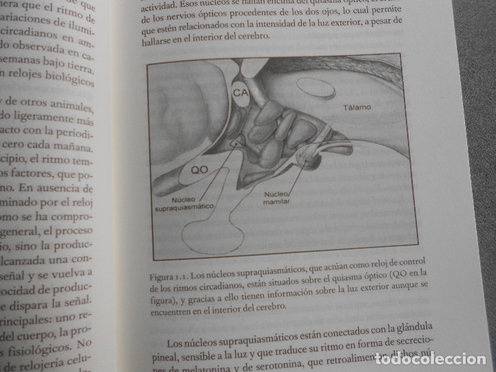 Libros de segunda mano: EL LABERINTO DEL TIEMPO - Foto 6