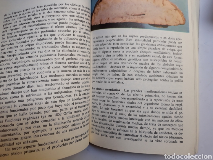 Libros de segunda mano: Toxicolog&iacute;a pr&aacute;ctica F.Bodin y Cheinisse - Foto 9