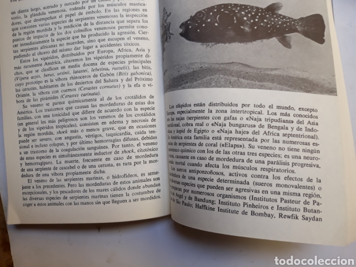 Libros de segunda mano: Toxicolog&iacute;a pr&aacute;ctica F.Bodin y Cheinisse - Foto 10