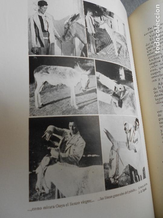 Libros de segunda mano: GITANOS DE LA BETICA - Foto 11