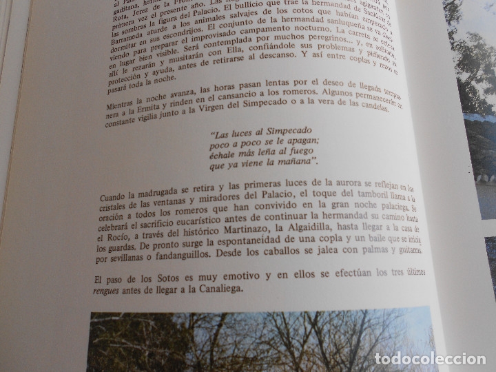Libros de segunda mano: EL ROCIO. TOMO I - Foto 11