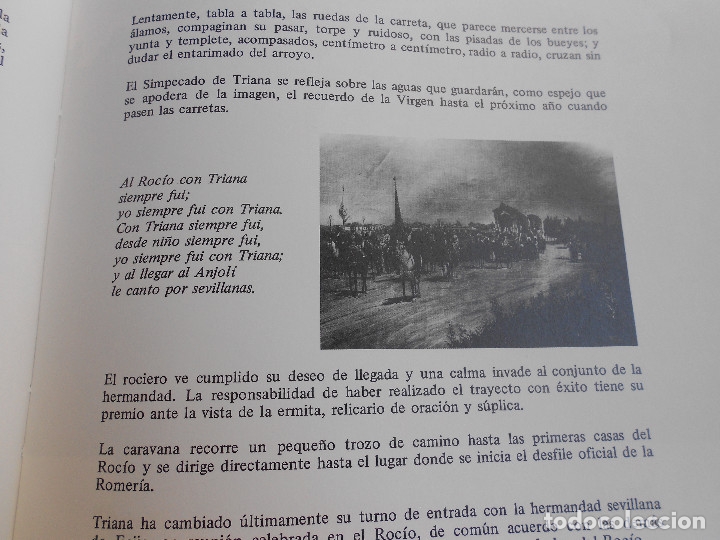 Libros de segunda mano: EL ROCIO. TOMO I - Foto 16