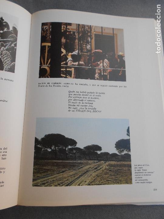 Libros de segunda mano: EL ROCIO. TOMO I - Foto 20