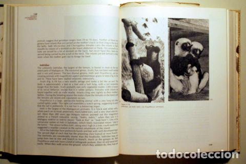 Libros de segunda mano: BUETTNER-JANUSCH, John - PHYSICAL ANTHROPOLOGY: A PERSPECTIVE - EUA 1973 - Foto 4