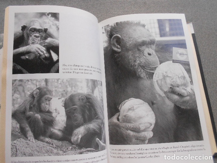 Libros de segunda mano: OTRA MANERA DE VIVIR - Foto 3