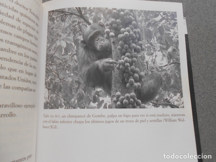 Libros de segunda mano: OTRA MANERA DE VIVIR - Foto 4