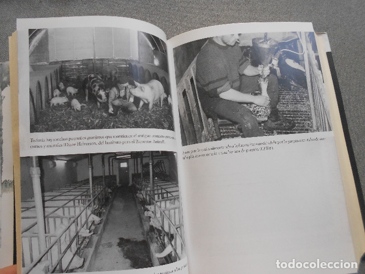 Libros de segunda mano: OTRA MANERA DE VIVIR - Foto 5