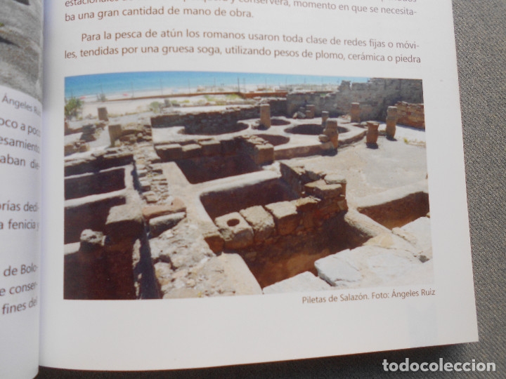 Libros de segunda mano: DE ATUN, ALMADRABAS Y SUS CAPITANES - Foto 5