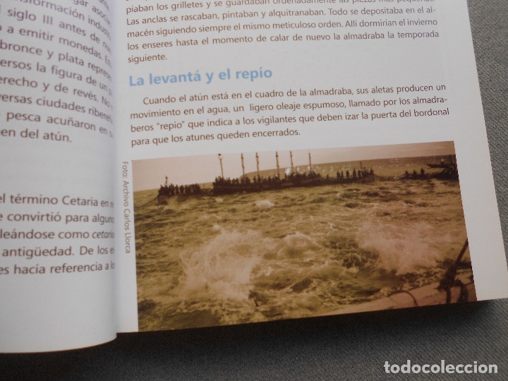 Libros de segunda mano: DE ATUN, ALMADRABAS Y SUS CAPITANES - Foto 8