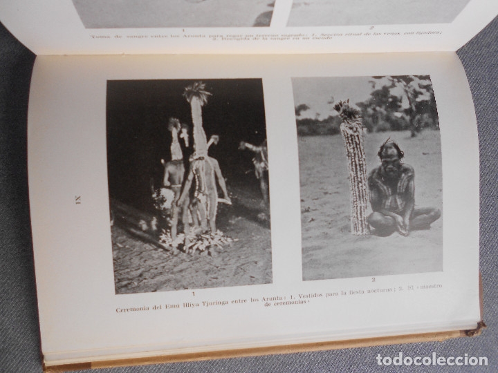 Libros de segunda mano: TOTEMISMO - Foto 6