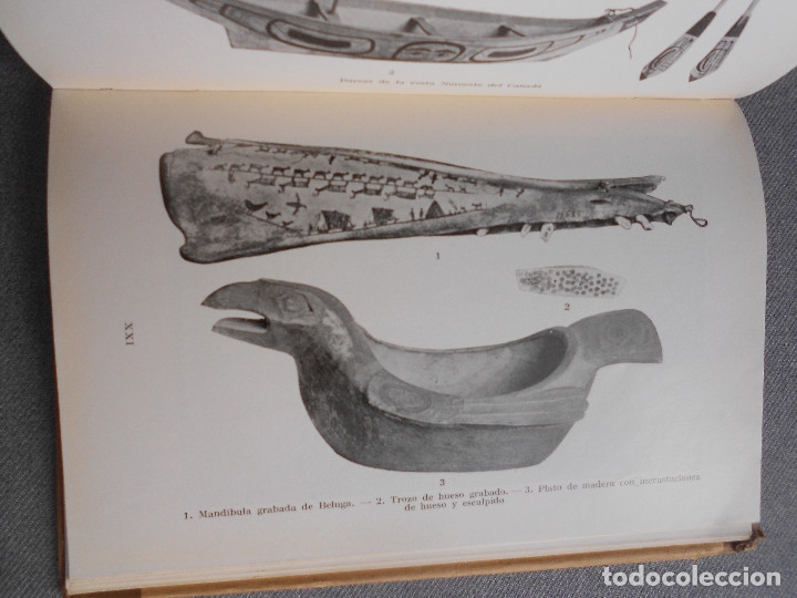 Libros de segunda mano: TOTEMISMO - Foto 7