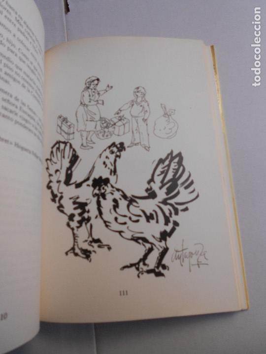 Libros de segunda mano: CUENTOS DE HOGUERAS - Foto 5