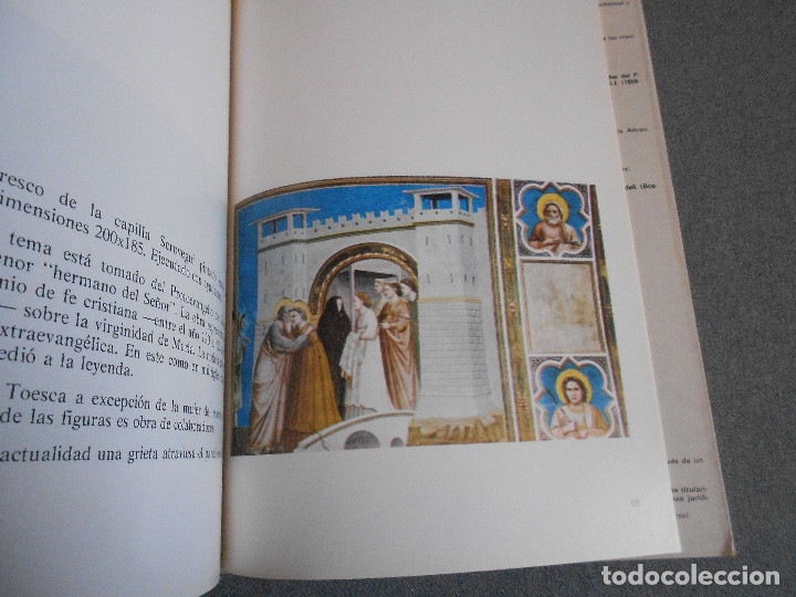 Libros de segunda mano: GIOTTO Y LA SECULARIZACION - Foto 5