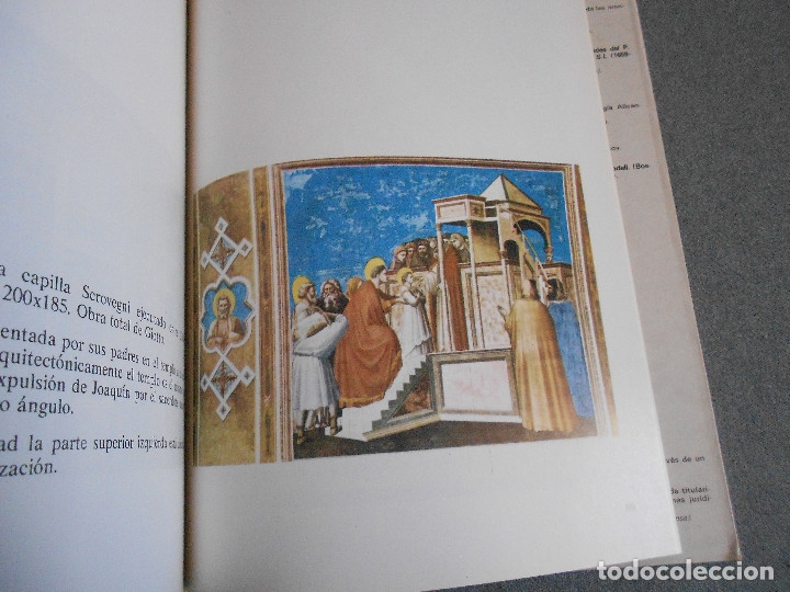 Libros de segunda mano: GIOTTO Y LA SECULARIZACION - Foto 7